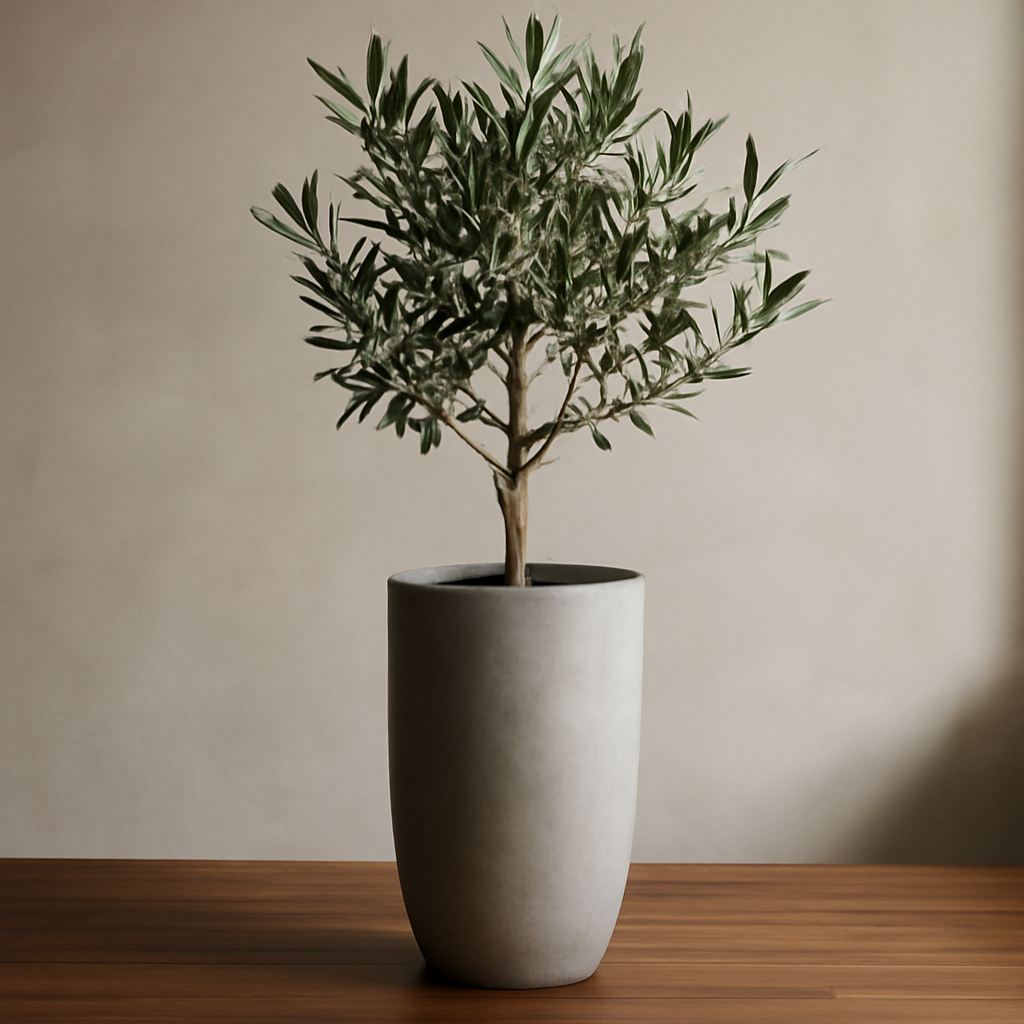 Tall cement planter with a clean, minimal finish